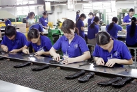 Đa dạng hóa nguồn nguyên liệu nhập khẩu: Định hình hướng đi lâu bền