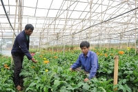 Hút vốn đối ứng từ cơ sở