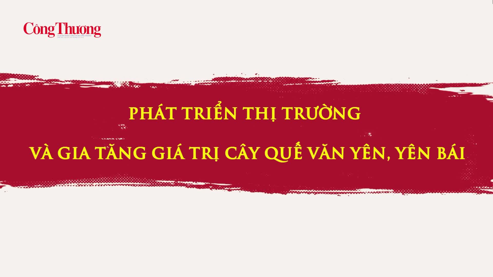 Phát triển thị trường và gia tăng giá trị cây quế Văn Yên, Yên Bái