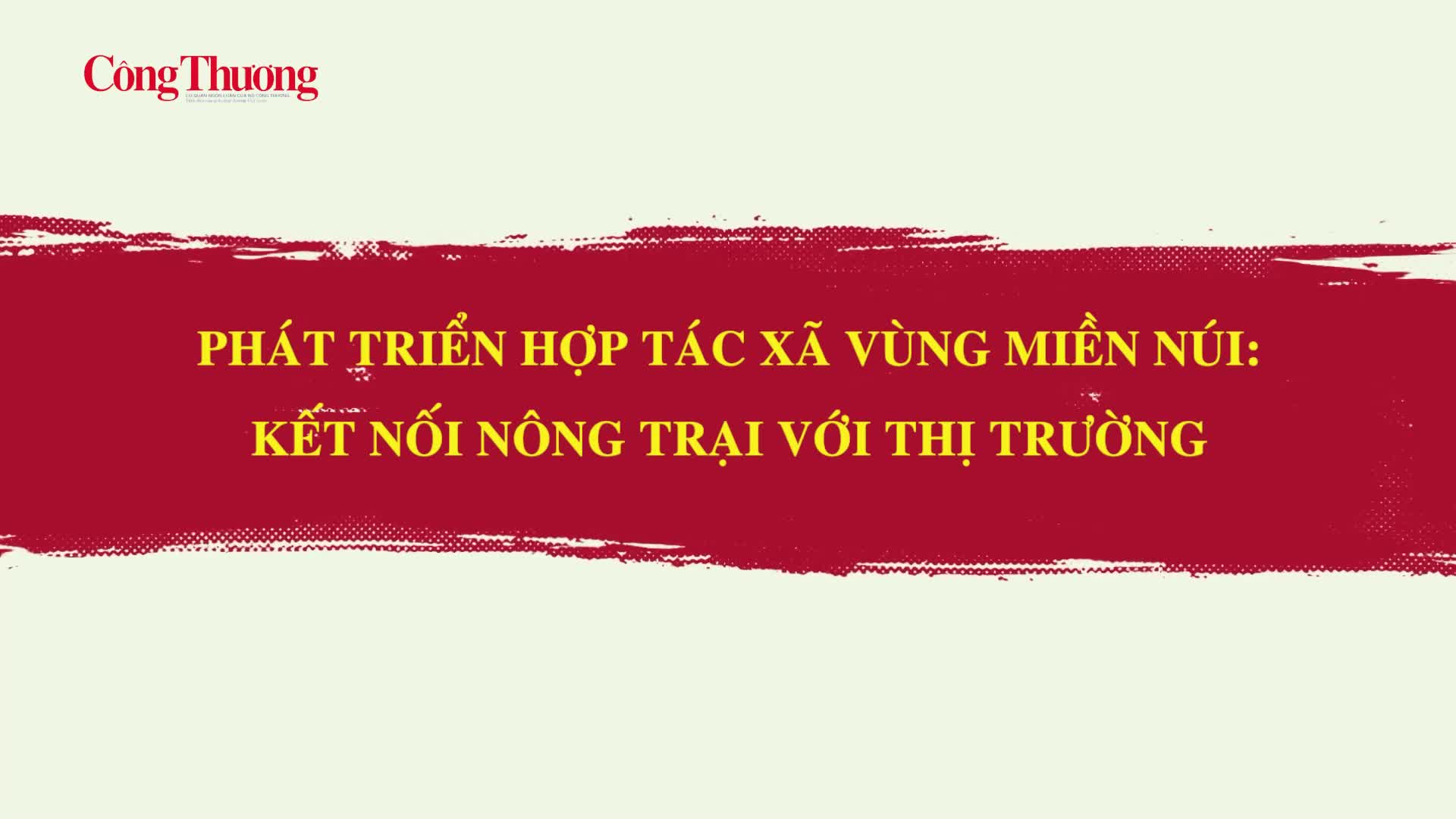 Phát triển hợp tác xã vùng miền núi: Kết nối nông trại với thị trường