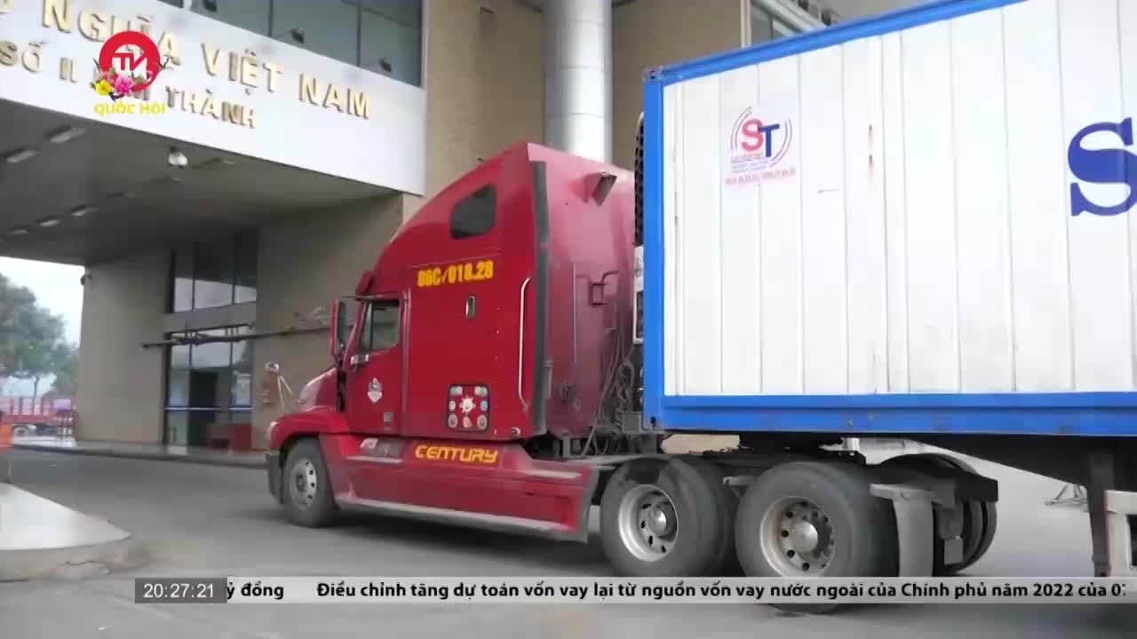 Hơn 350 tấn trái cây xuất khẩu sang Trung Quốc trong sáng mùng Một Tết