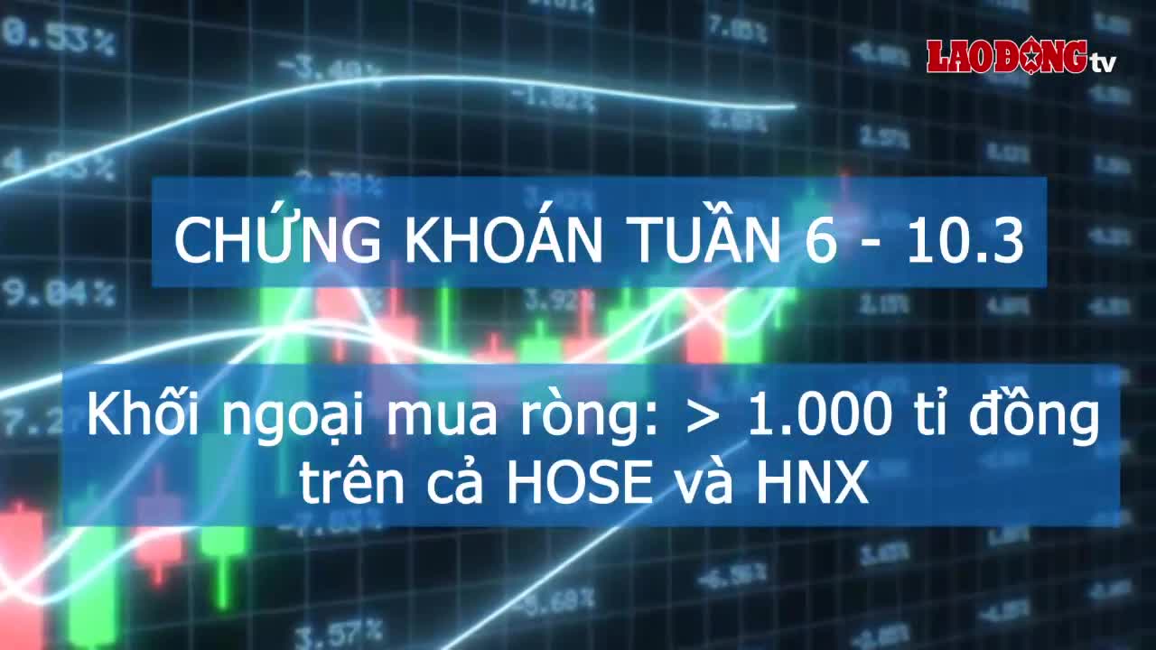 Video nhap 20230312104114