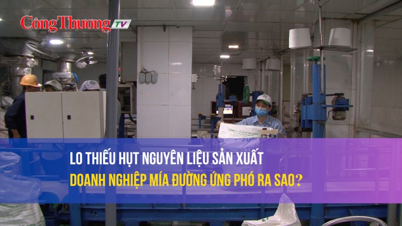 Lo ngại thiếu hụt nguyên liệu sản xuất, doanh nghiệp mía đường ứng phó ra sao?
