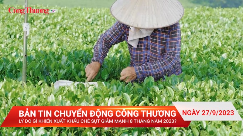 Lý do gì khiến xuất khẩu chè sụt giảm mạnh 8 tháng năm 2023?