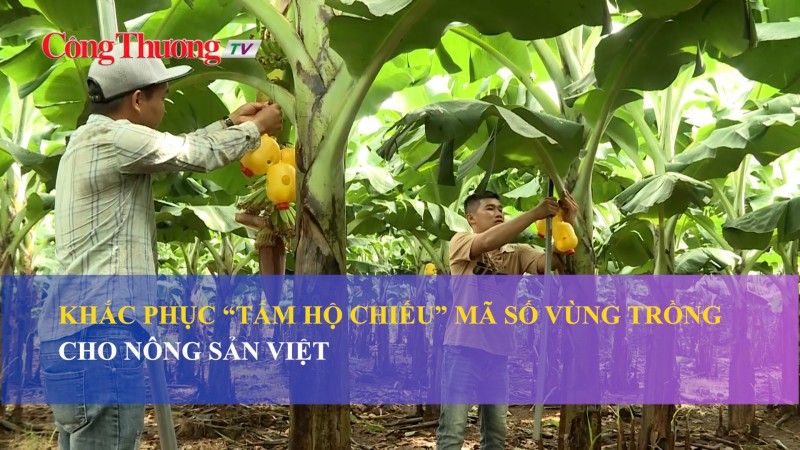 Khắc phục “tấm hộ chiếu