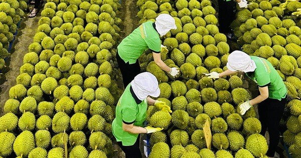 Xuất khẩu rau quả phá kỷ lục lịch sử