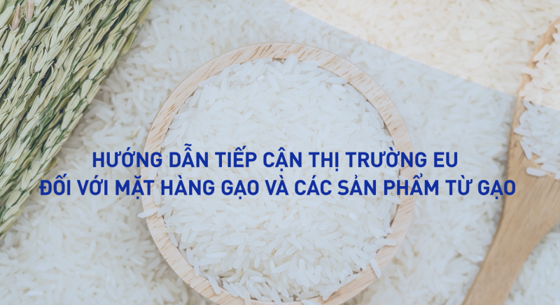 Hướng dẫn tiếp cận thị trường EU đối với mặt hàng gạo và các sản phẩm từ gạo