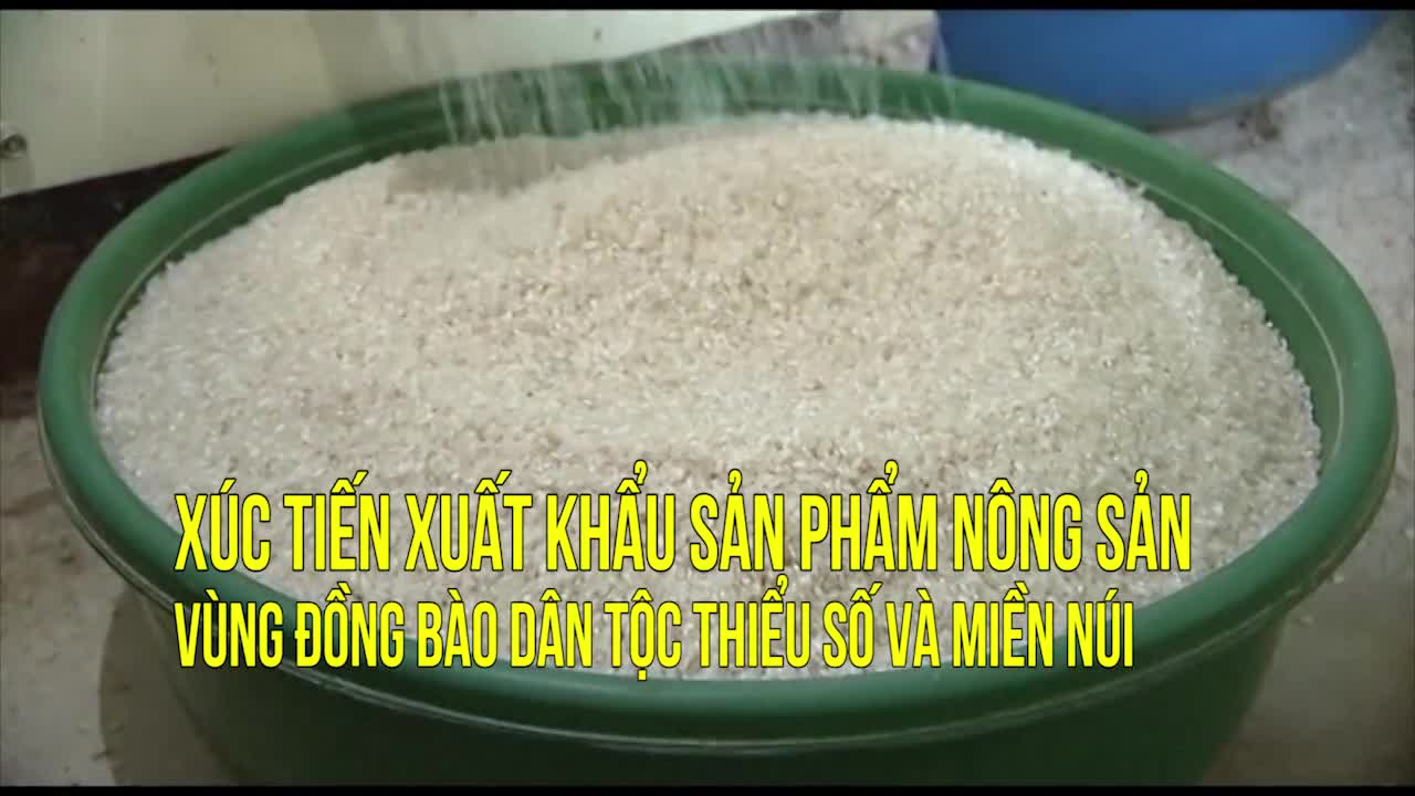 Xúc tiến xuất khẩu sản phẩm nông sản vùng đồng bào dân tộc thiểu số và miền núi