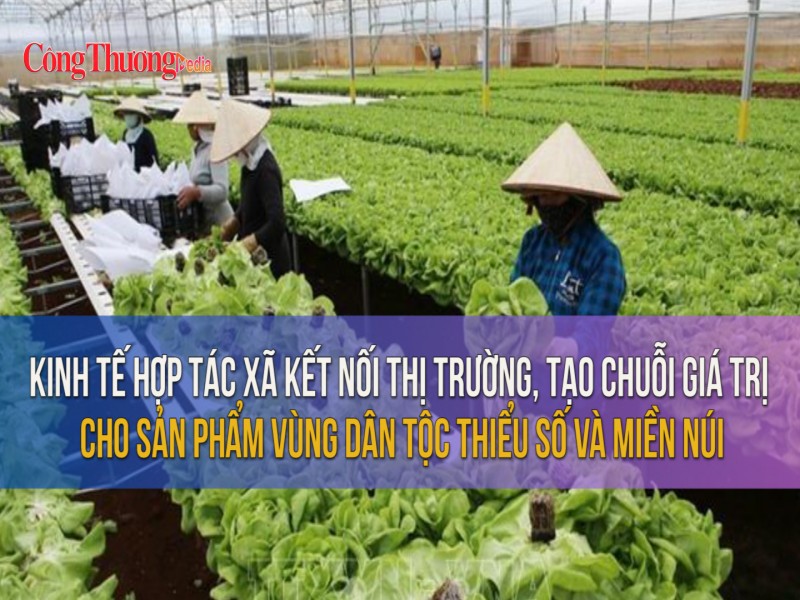 Kinh tế hợp tác xã tạo chuỗi giá trị cho sản phẩm vùng dân tộc thiểu số và miền núi