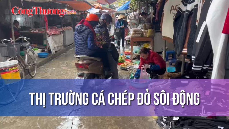 Thị trường cá chép đỏ sôi động