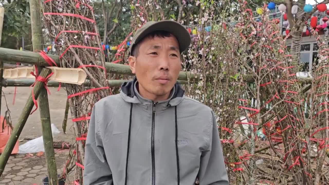 Hà Nội: Mới 29 Tết tiểu thương đã phá cây vì… xả lỗ vẫn ế khách