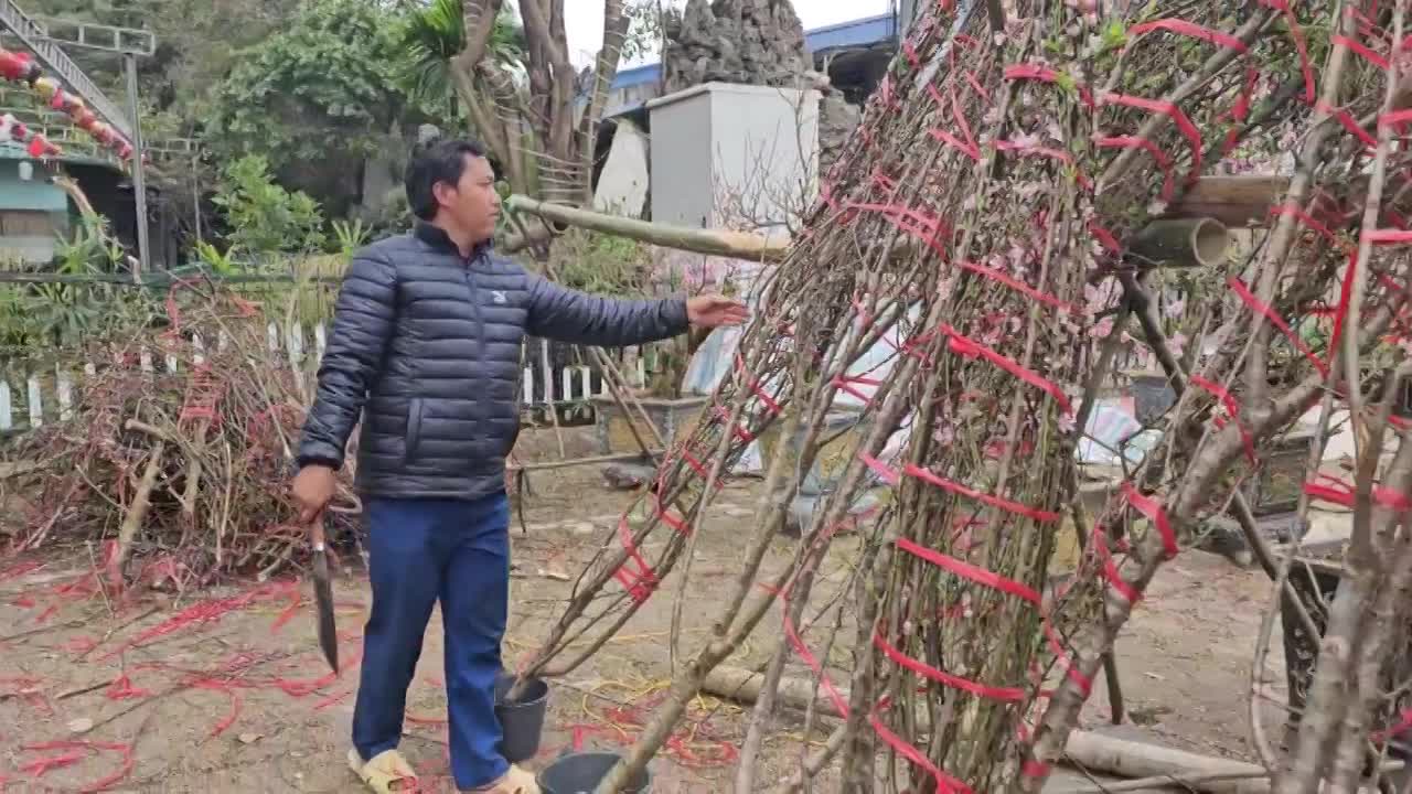 Hà Nội: Mới 29 Tết tiểu thương đã phá cây vì… xả lỗ vẫn ế khách