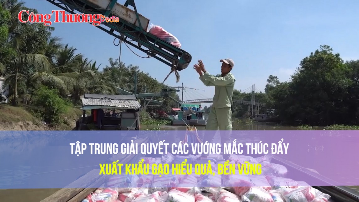 Tập trung giải quyết các vướng mắc thúc đẩy xuất khẩu gạo hiệu quả, bền vững