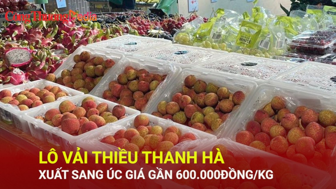 Lô vải thiều Thanh Hà xuất sang Úc giá gần 600.000 đồng/kg