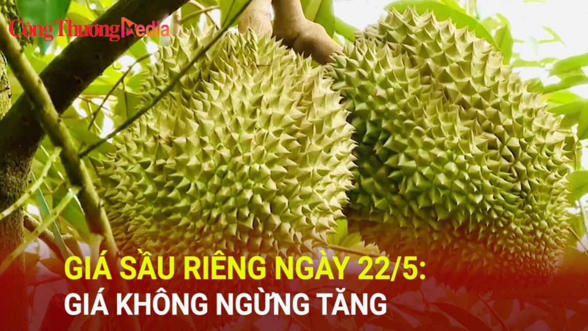 Giá sầu riêng ngày 22/5: Giá không ngừng tăng