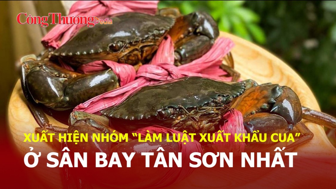 Xuất hiện nhóm “làm luật xuất khẩu cua” vào sân bay Tân Sơn Nhất