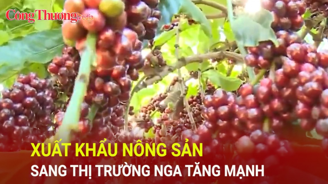 Xuất khẩu nông sản sang thị trường Nga tăng mạnh