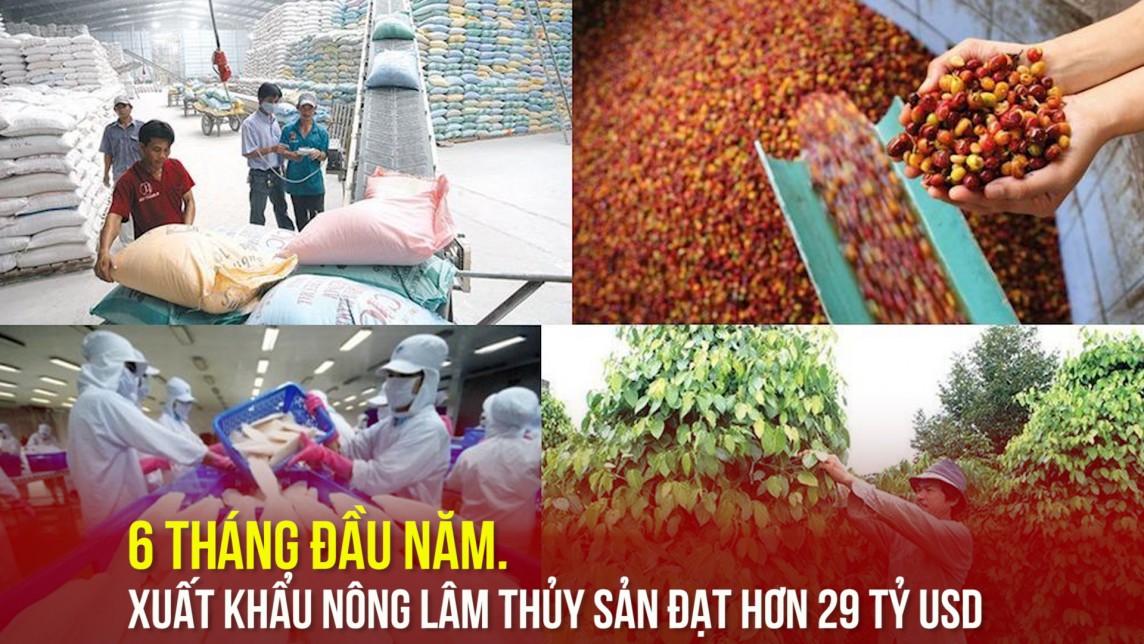 6 tháng đầu năm, xuất khẩu nông lâm thủy sản đạt hơn 29 tỷ USD
