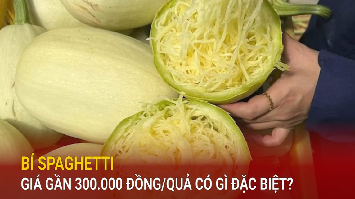 Bí spaghetti giá gần 300.000 đồng/quả có gì đặc biệt?