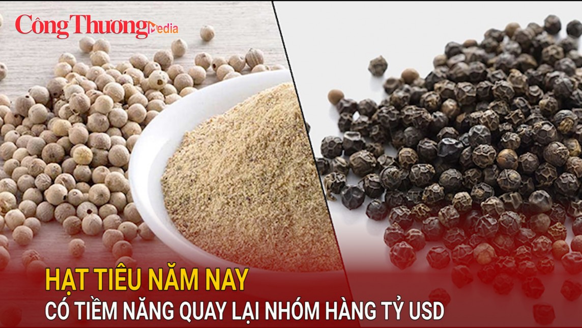 Hạt tiêu năm nay có tiềm năng quay lại nhóm hàng tỷ USD