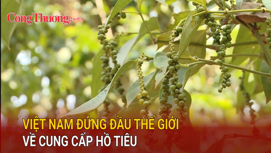 Việt Nam đứng đầu thế giới về cung cấp hồ tiêu