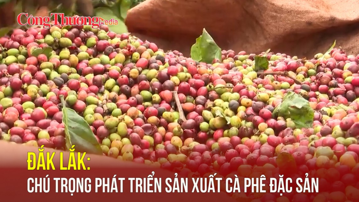 Đắk Lắk: Chú trọng phát triển sản xuất cà phê đặc sản