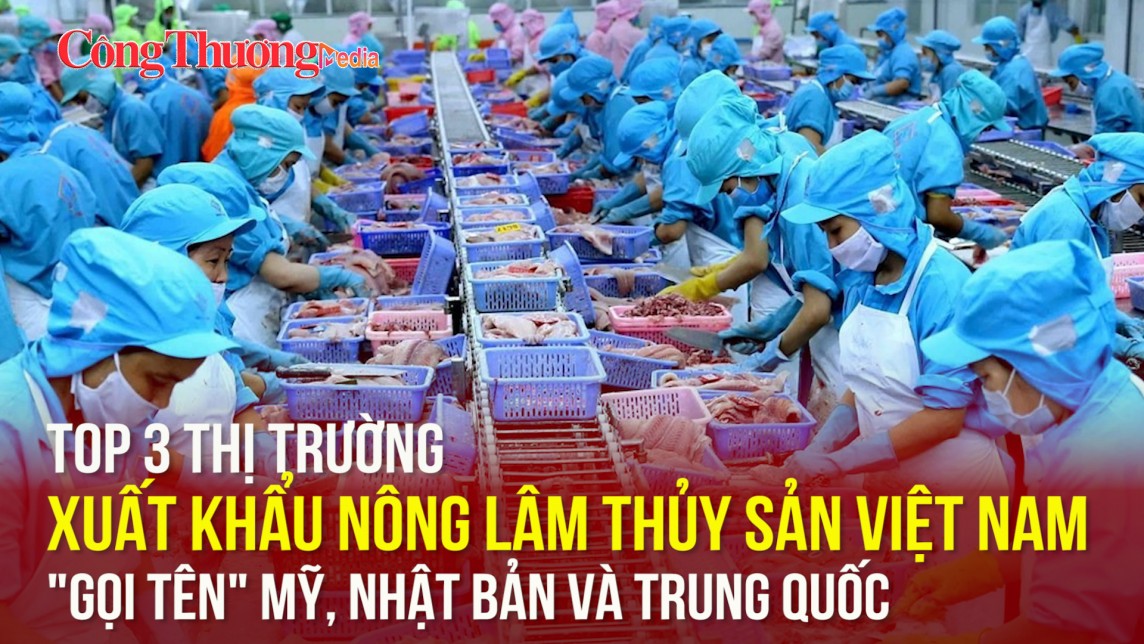 Top 3 thị trường xuất khẩu nông lâm thủy sản Việt Nam