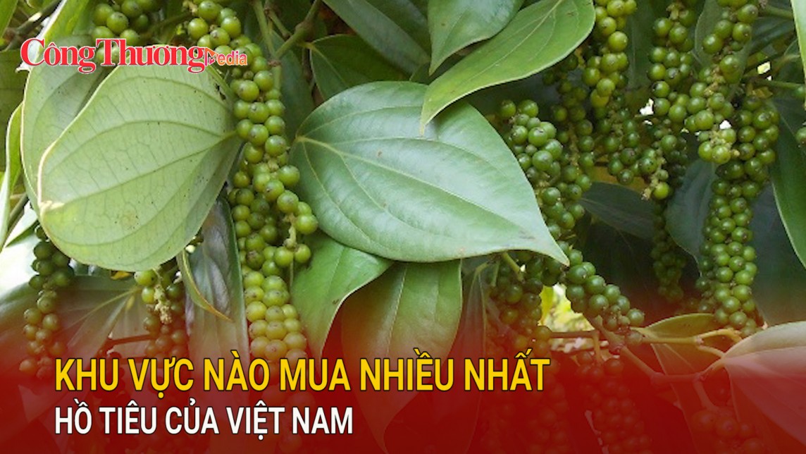 Khu vực nào mua nhiều nhất hồ tiêu của Việt Nam