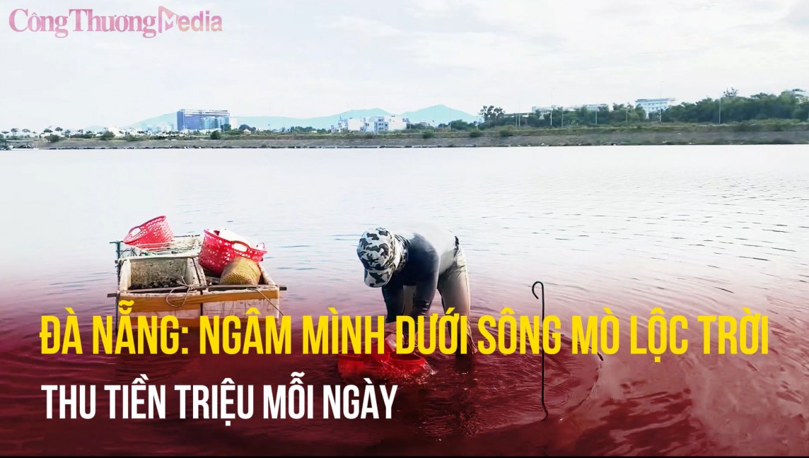 Đà Nẵng: Ngâm mình dưới nước mò lộc trời, người dân thu tiền triệu mỗi ngày