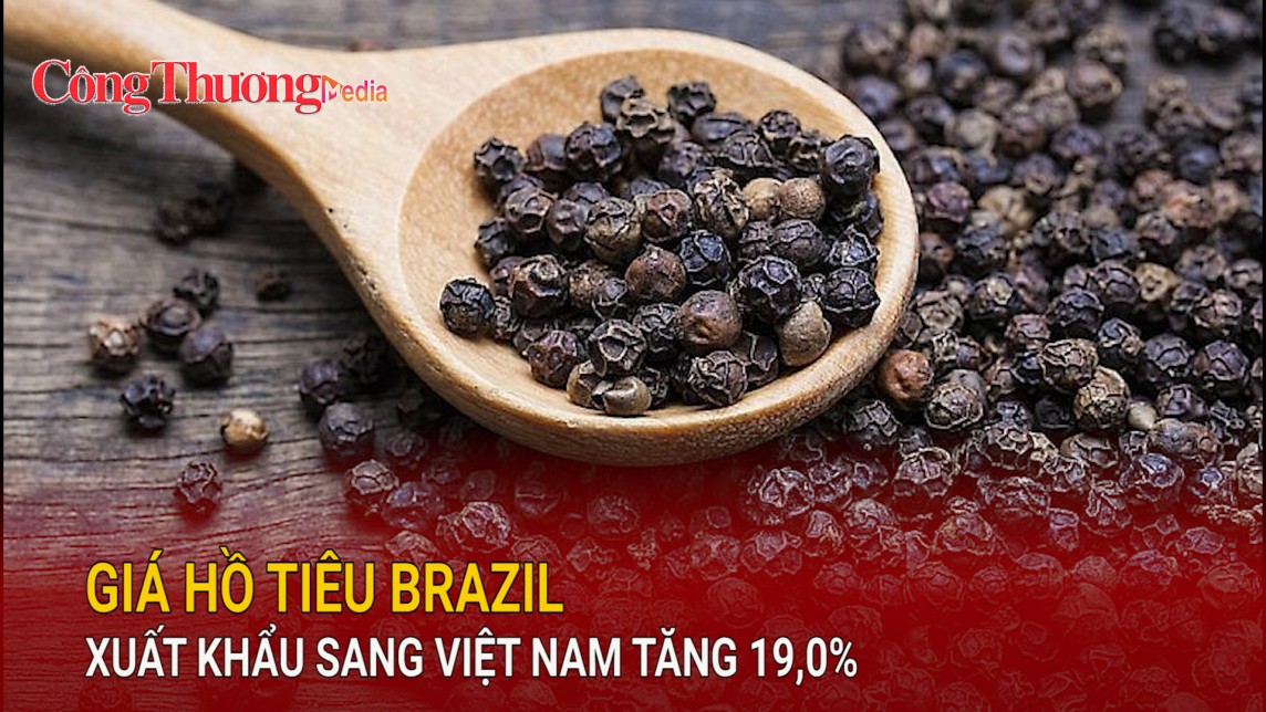 Giá hồ tiêu Brazil xuất khẩu sang Việt Nam tăng 19,0%
