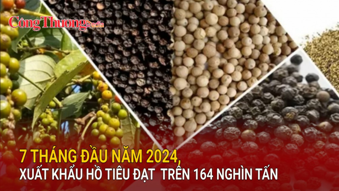 7 tháng đầu năm 2024, xuất khẩu hồ tiêu đạt trên 164 nghìn tấn