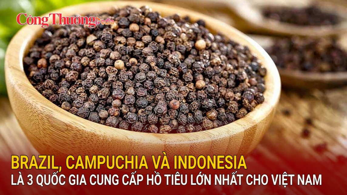 Brazil, Campuchia và Indonesia là 3 quốc gia cung cấp hồ tiêu lớn nhất cho Việt Nam