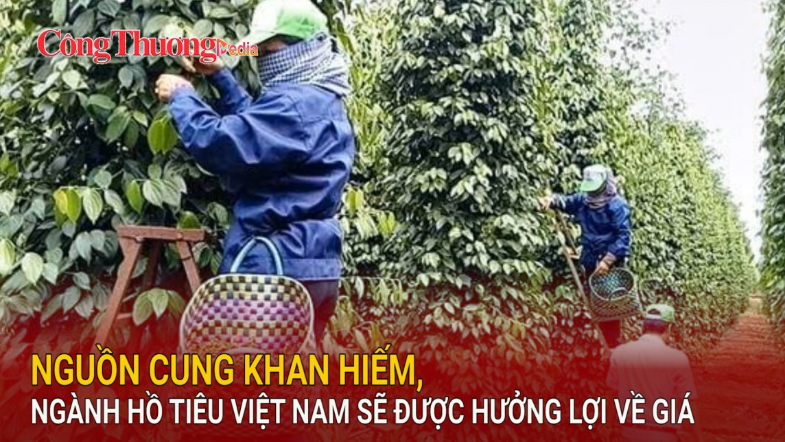 Nguồn cung khan hiếm, ngành hồ tiêu Việt Nam sẽ được hưởng lợi về giá