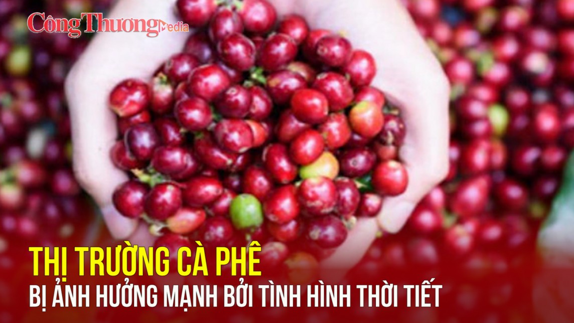 Thị trường cà phê bị ảnh hưởng mạnh bởi tình hình thời tiết