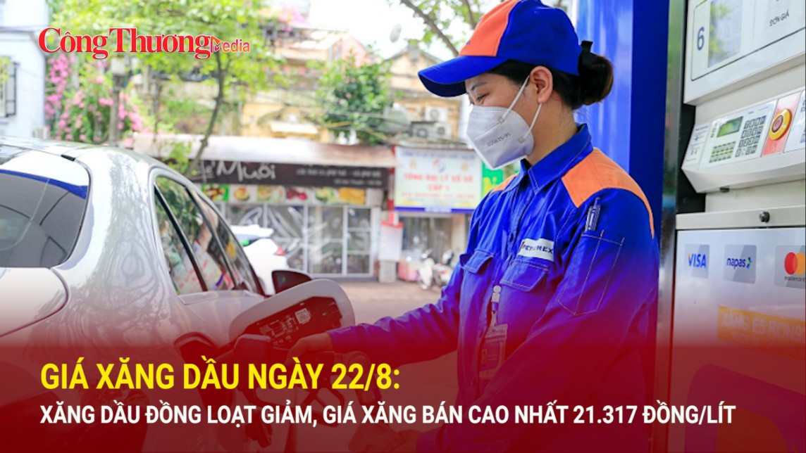 Giá xăng dầu ngày 22/8: Xăng dầu đồng loạt giảm, giá xăng bán cao nhất 21.317 đồng/lít