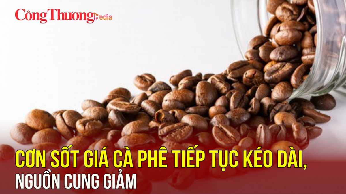 Cơn sốt giá cà phê tiếp tục kéo dài, nguồn cung giảm