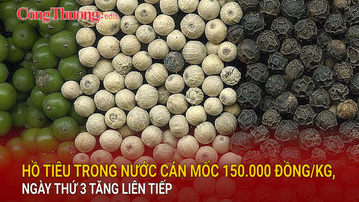 Hồ tiêu trong nước cán mốc 150.000 đồng/kg, ngày thứ 3 tăng liên tiếp