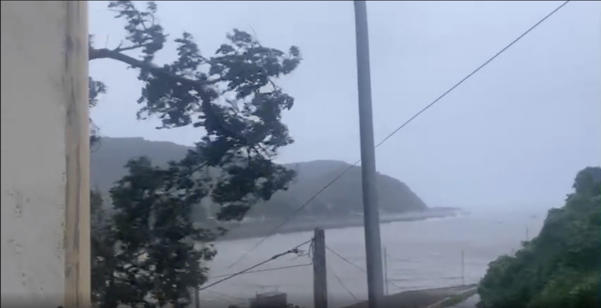 Đảo Trần, Cô Tô lúc 7h sáng gió giật mạnh dữ dội