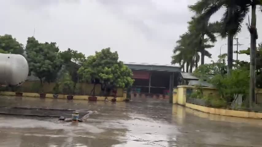 Thái Bình chịu hưởng của bão số 3, mưa lớn kèm gió giật mạnh