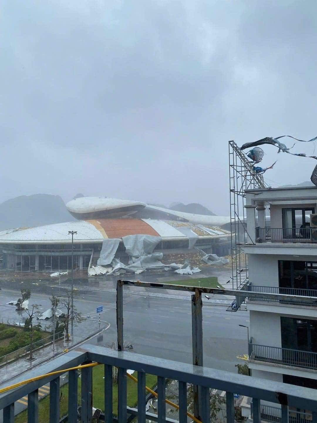 Cung Cá heo (Quảng Ninh) bị 