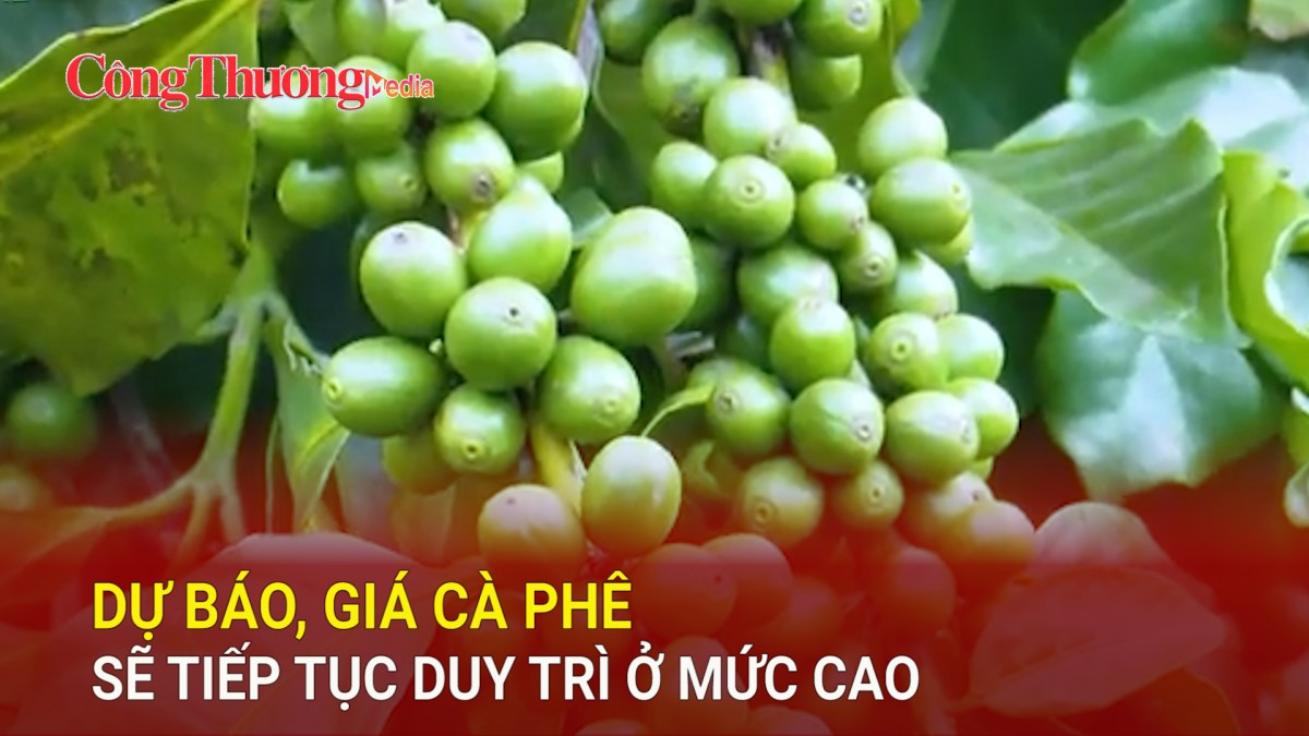 Dự báo, giá cà phê sẽ tiếp tục duy trì ở mức cao