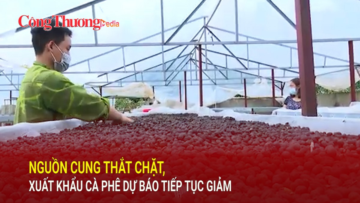 Nguồn cung thắt chặt, xuất khẩu cà phê dự báo tiếp tục giảm