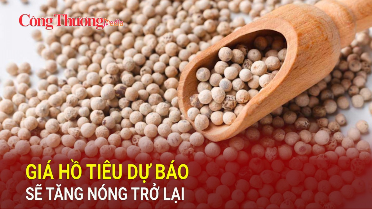 Giá hồ tiêu dự báo sẽ tăng nóng trở lại