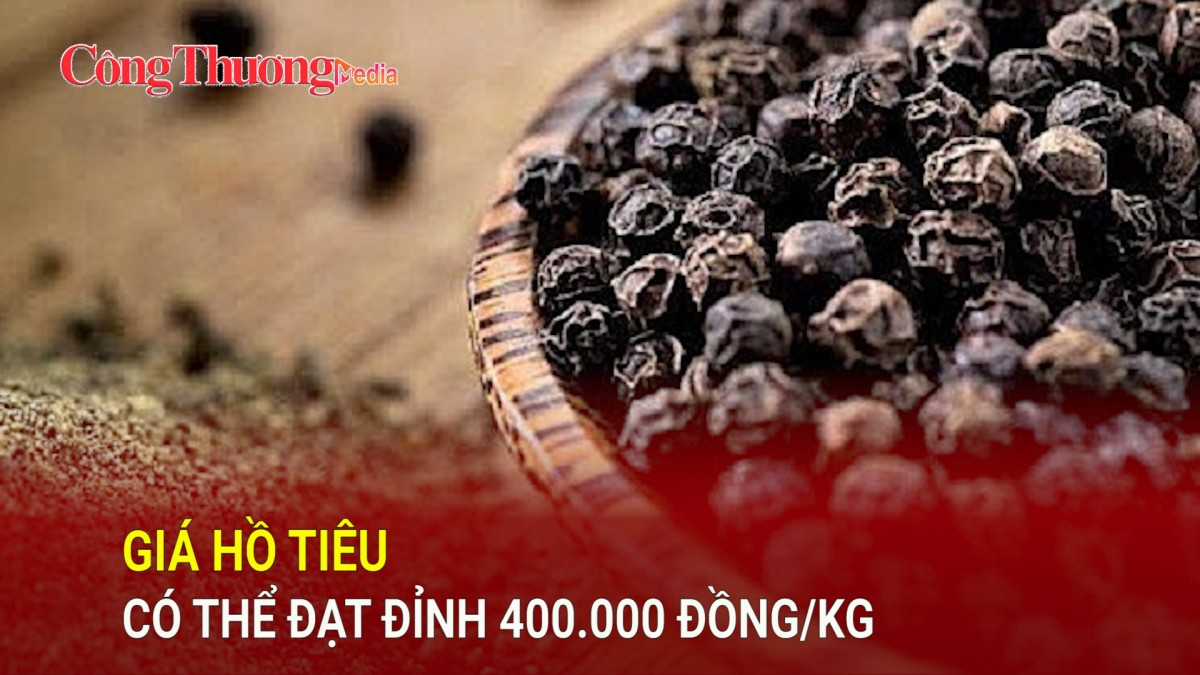 Giá hồ tiêu có thể đạt đỉnh 400.000 đồng/kg