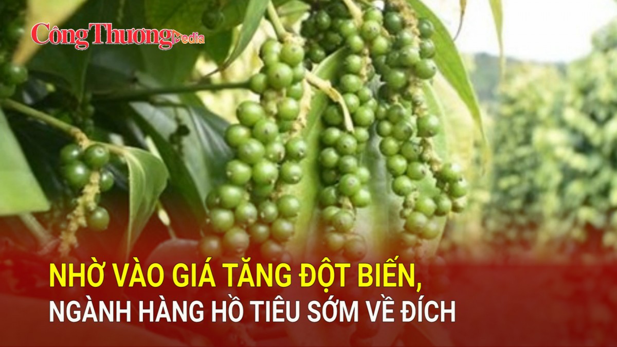 Nhờ vào giá tăng đột biến, ngành hàng hồ tiêu sớm về đích