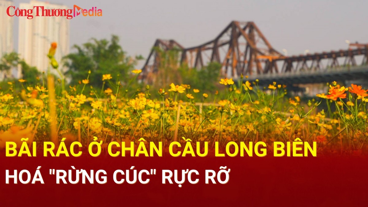 Bãi rác ở chân cầu Long Biên hoá