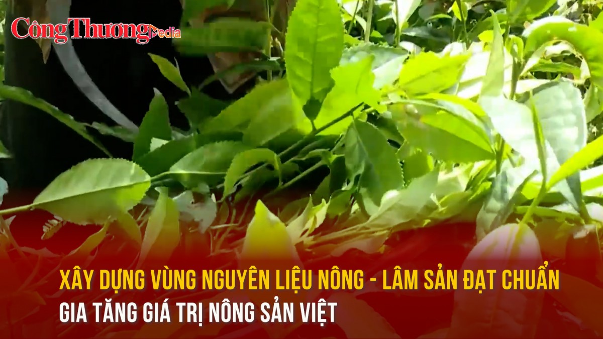 Xây dựng vùng nguyên liệu nông - lâm sản đạt chuẩn: Gia tăng giá trị nông sản Việt