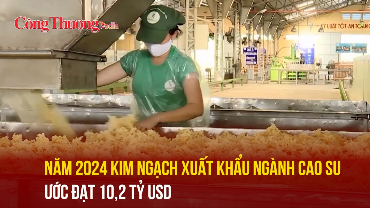Năm 2024 kim ngạch xuất khẩu ngành cao su ước đạt 10,2 tỷ USD