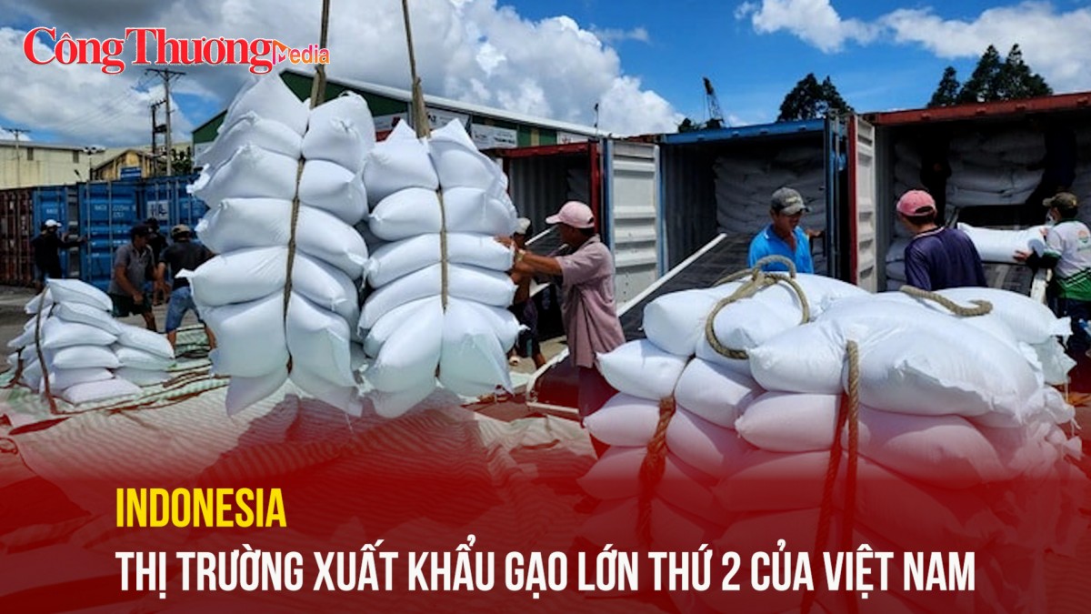 Indonesia: Thị trường xuất khẩu gạo lớn thứ 2 của Việt Nam