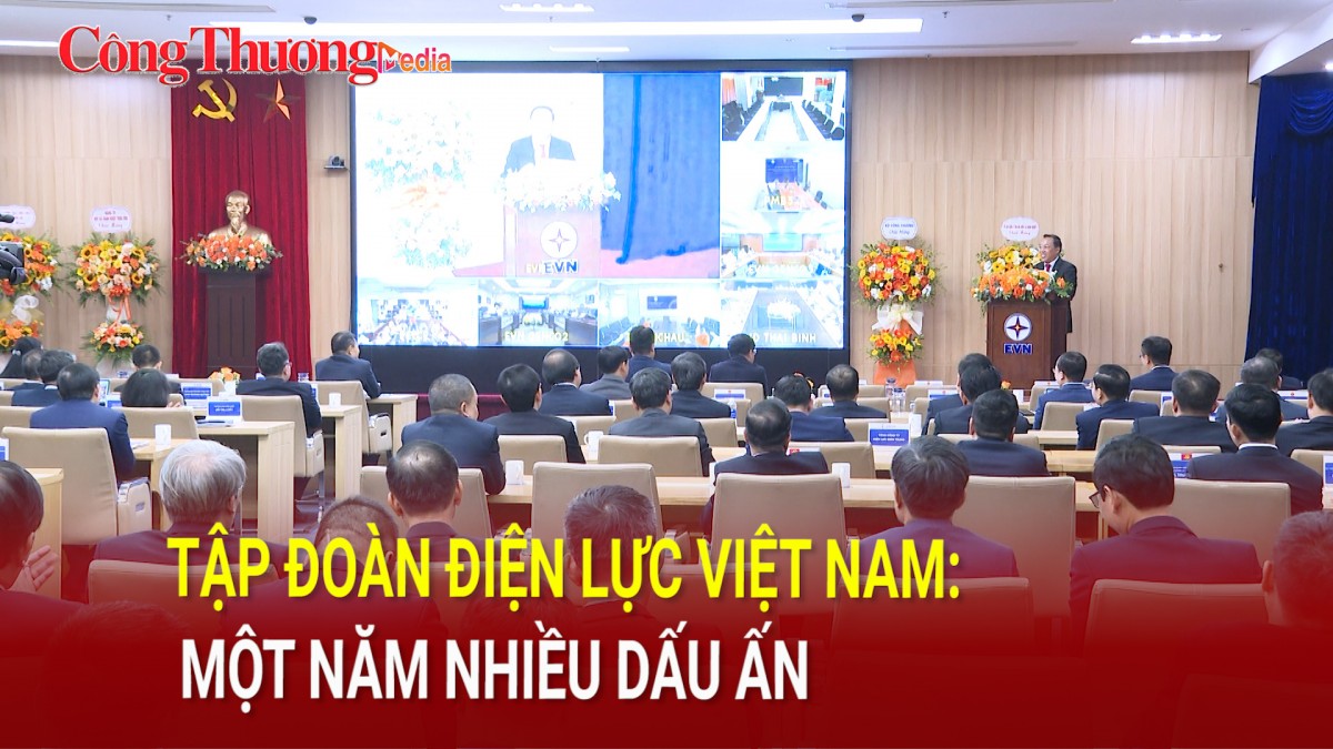 Tập đoàn Điện lực Việt Nam: Một năm nhiều dấu ấn